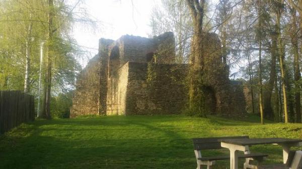 Zřicenina tvrze Svojšice