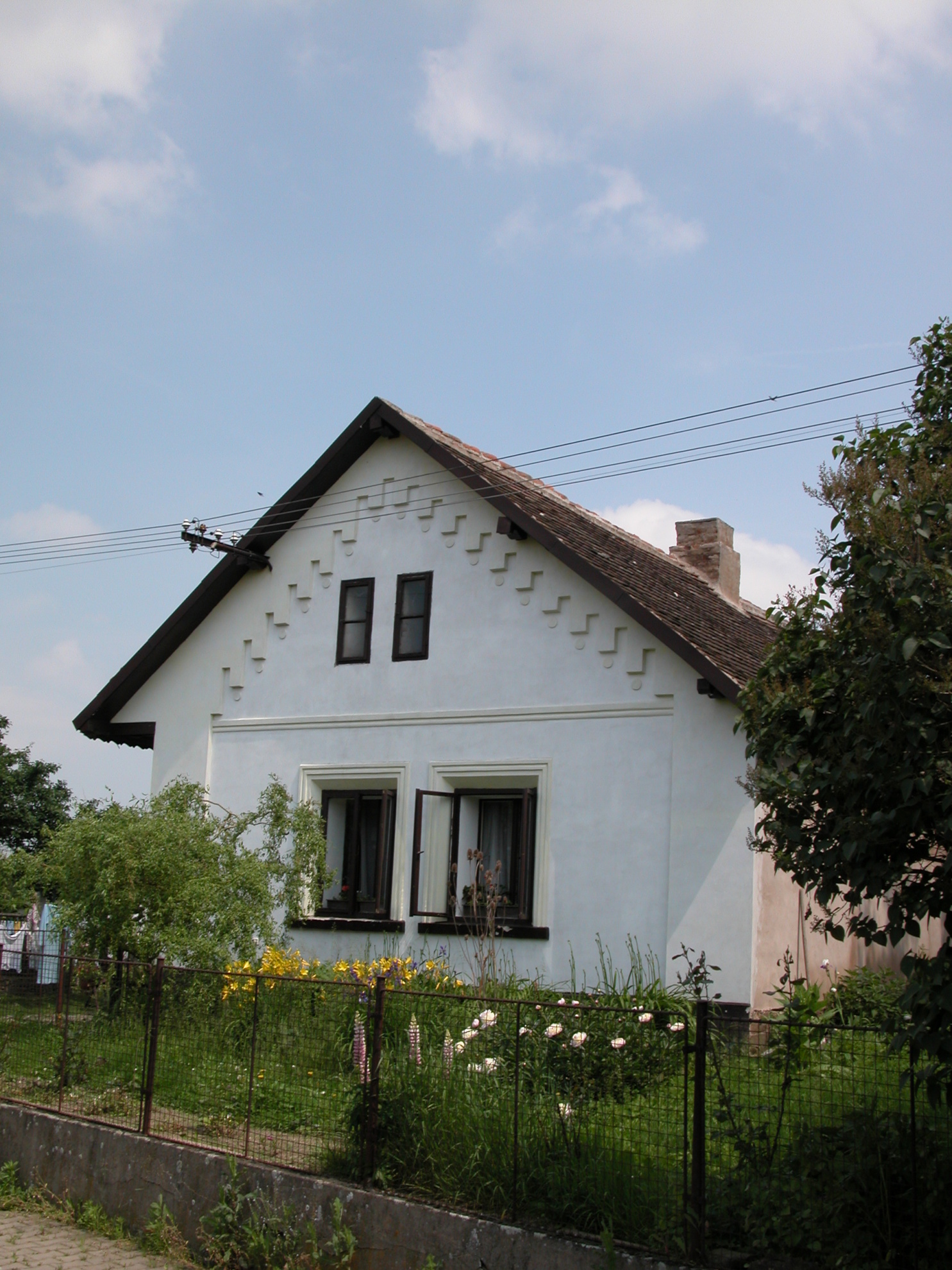 SOVOLUSKY (1)