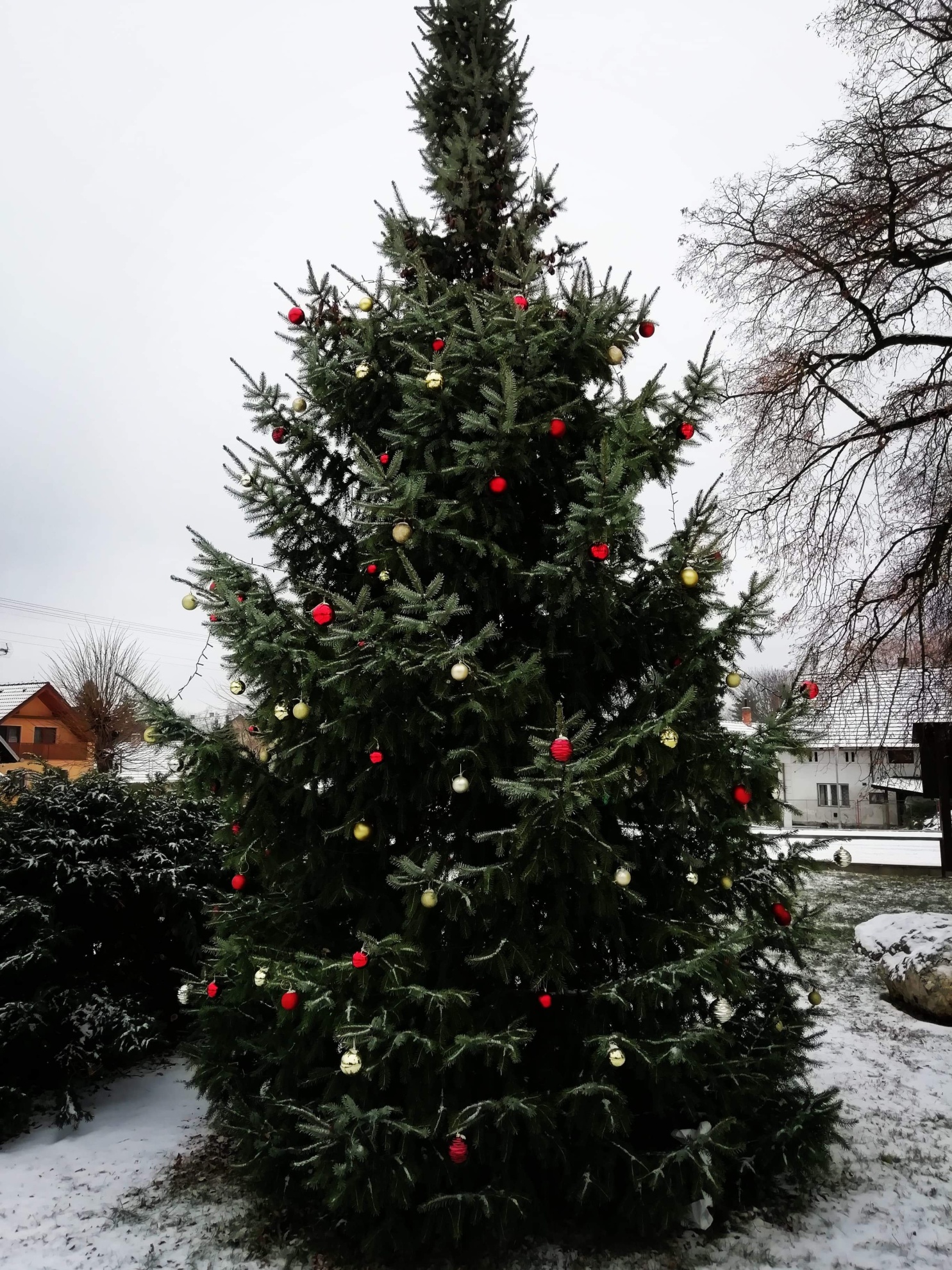 Silvestr 2019 (1)