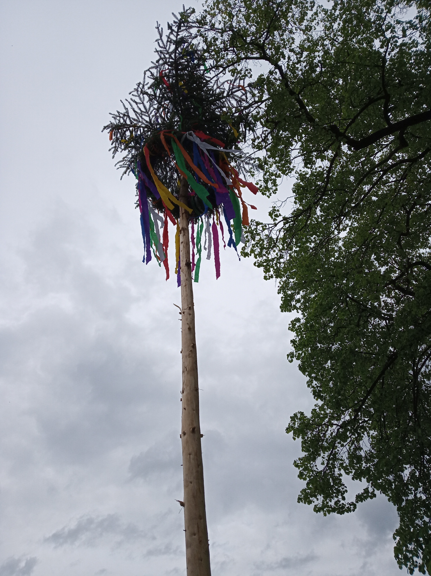 Stavba máje 2019 (7)