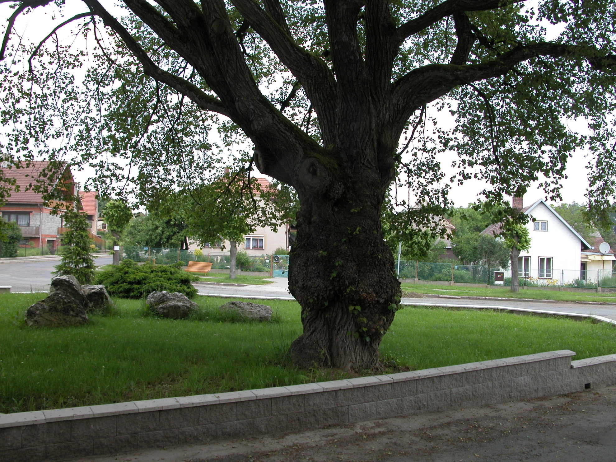 NÁVES (2)