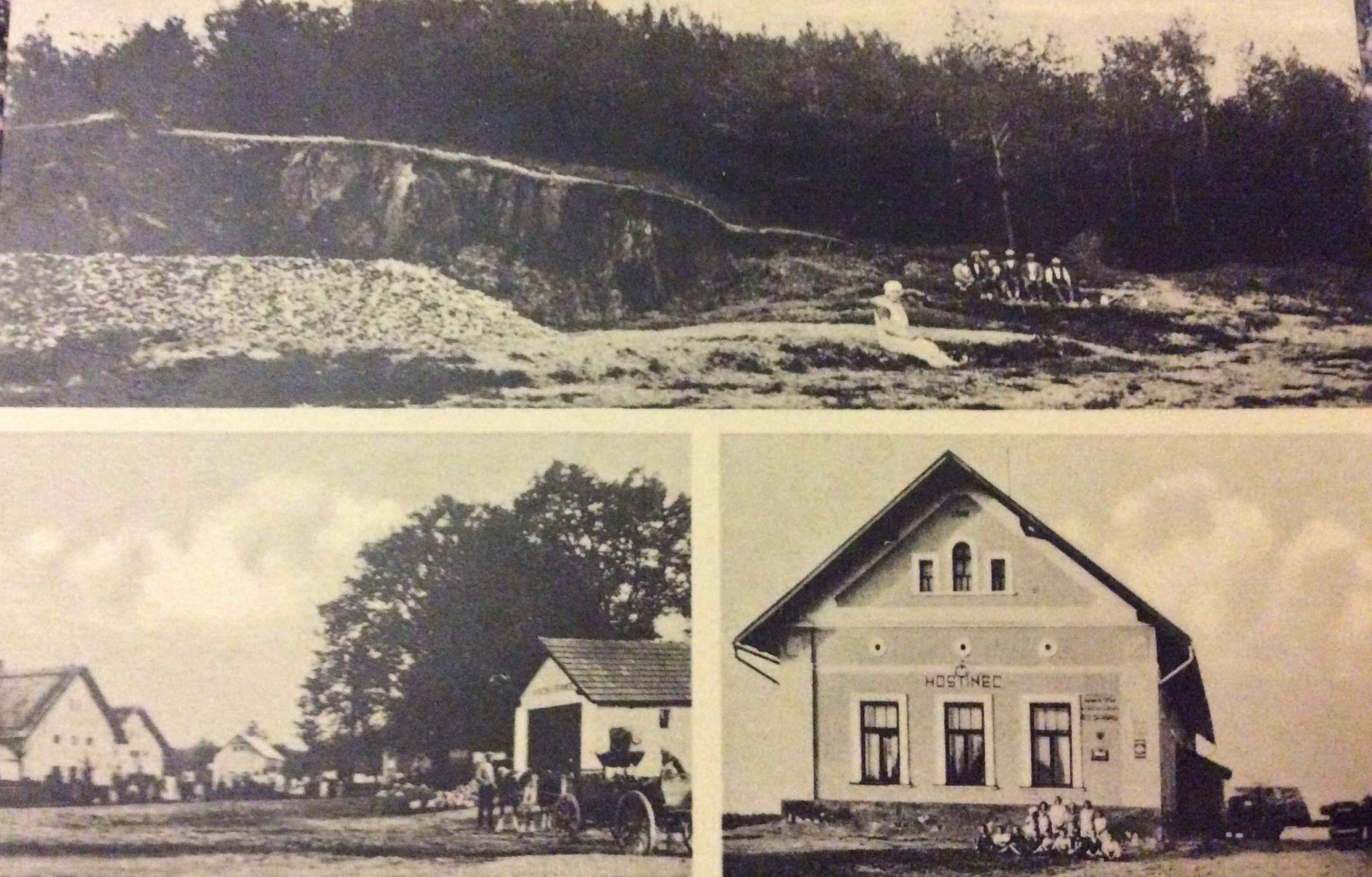 DOBOVÉ SOVOLUSKY (1)