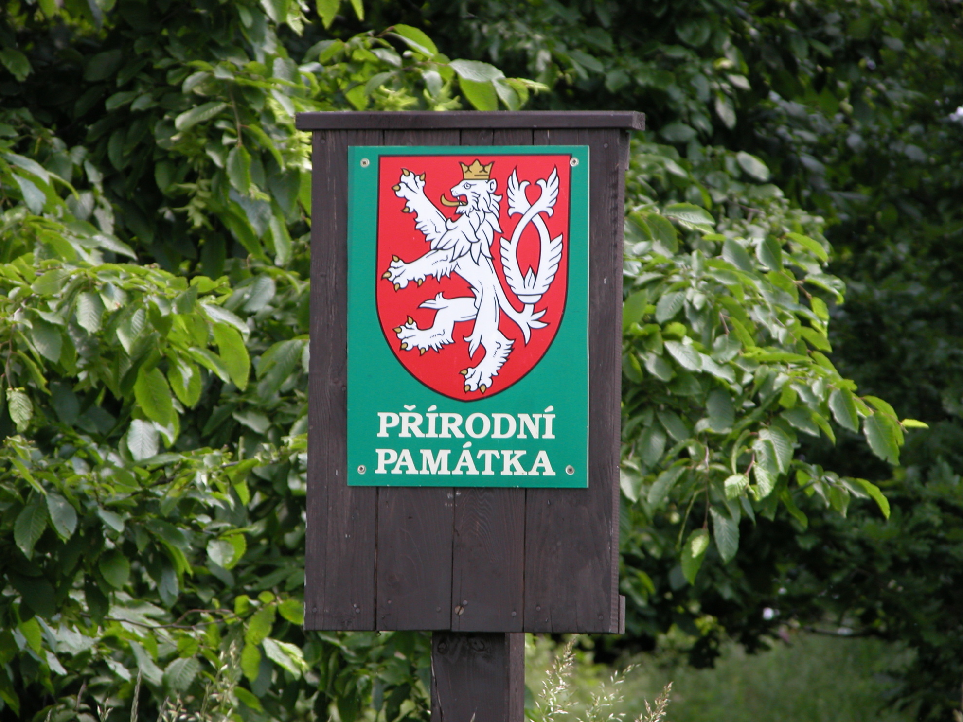 SKALKA U SOVOLUSK (2)