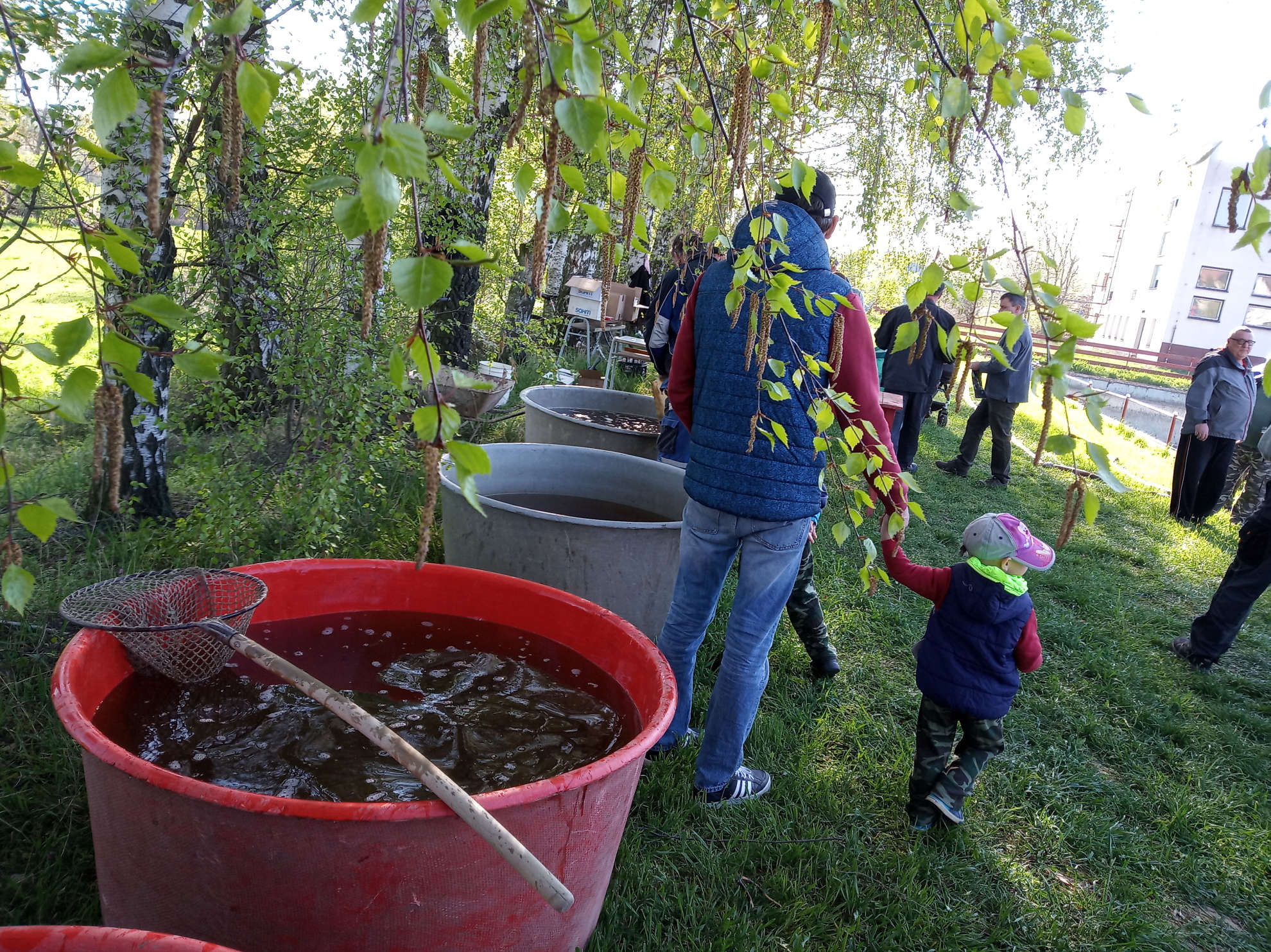 Výlov rybníka 2019 (08)