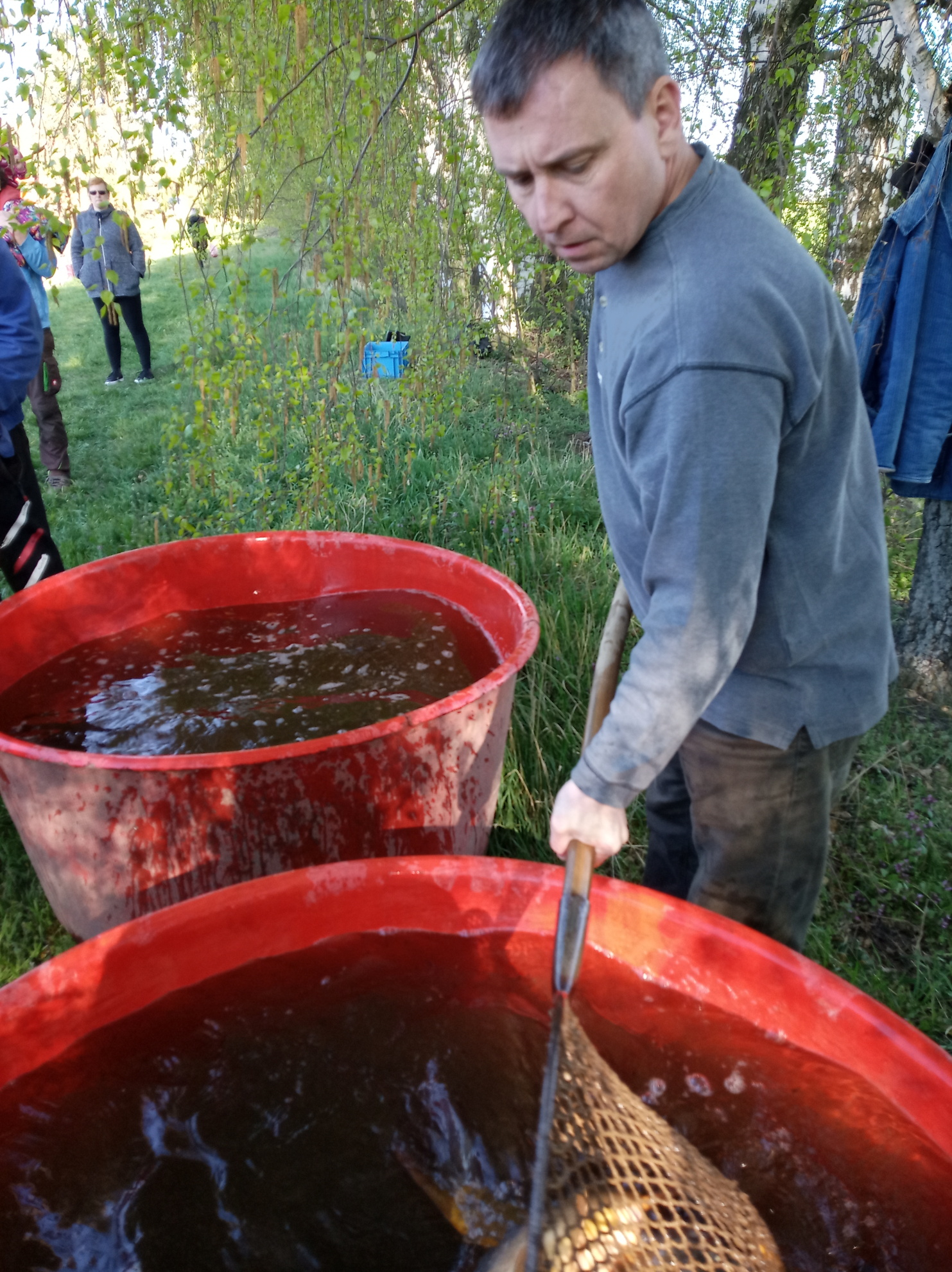 Výlov rybníka 2019 (13)