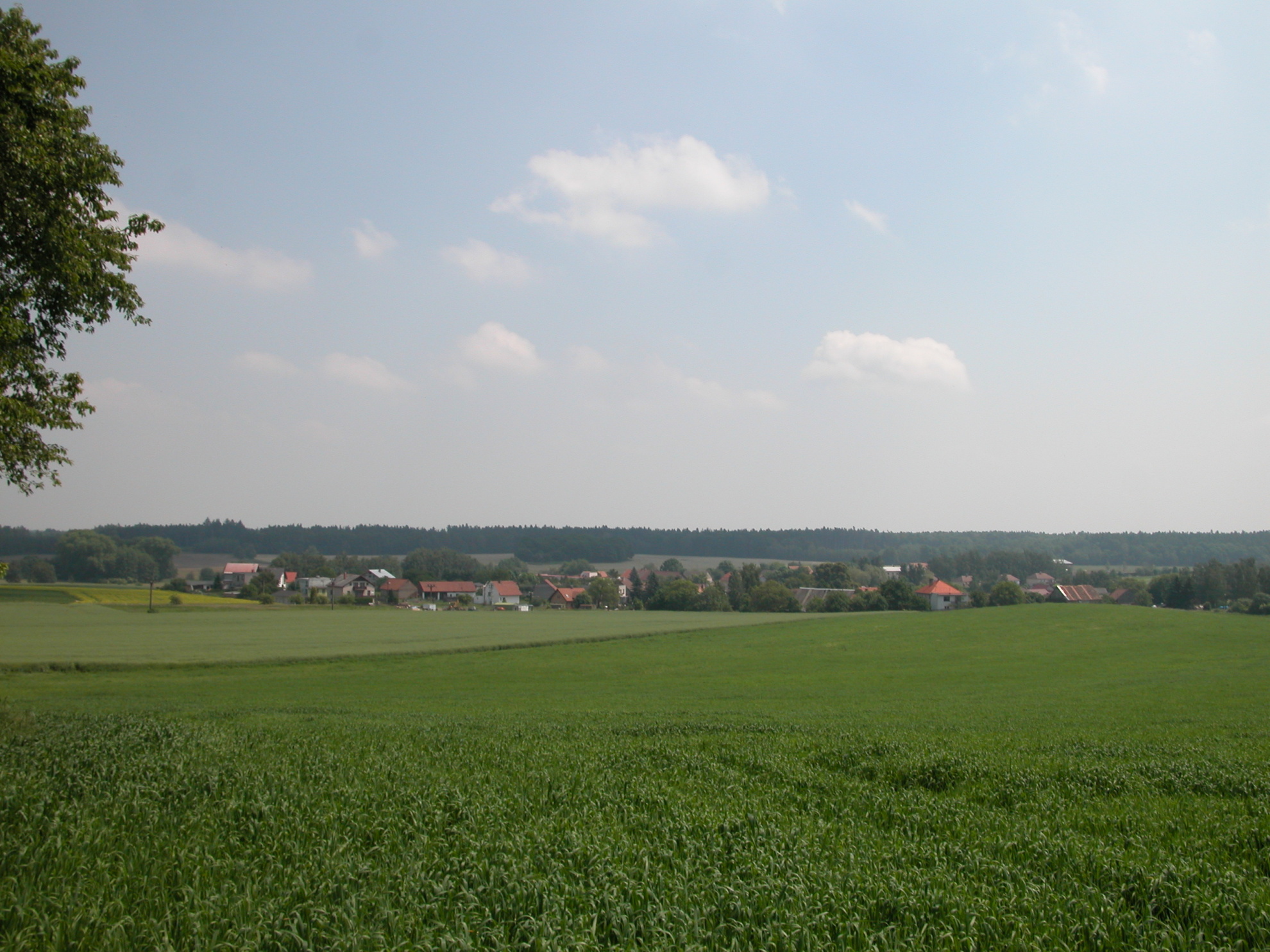 POHLED OD TŘEŠŇOVKY