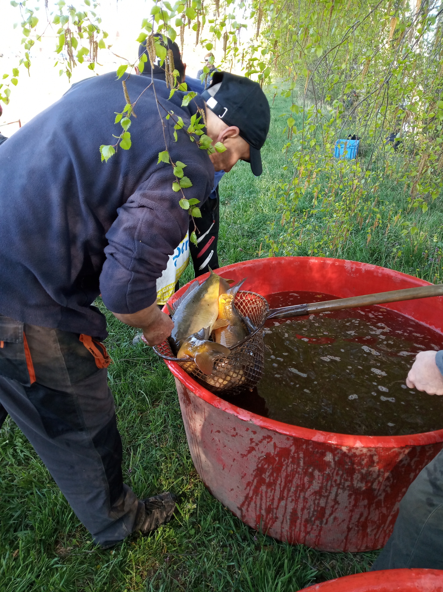 Výlov rybníka 2019 (12)